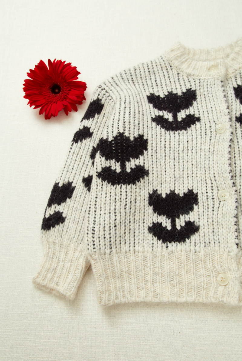 CARDIGAN TULIP