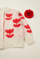 CARDIGAN TULIP