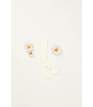 MEDIAS CORTAS GENOVA