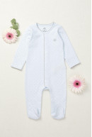 ENTERITO CON PIE PINTITAS